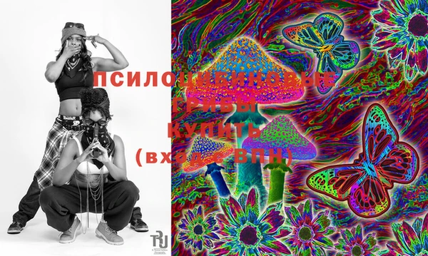 метадон Богданович