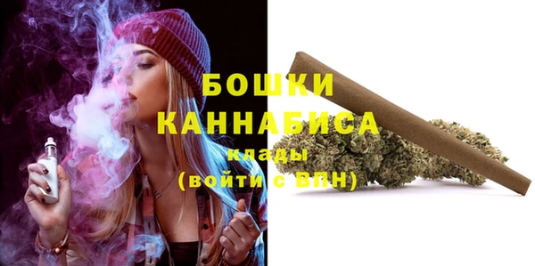 метадон Богданович