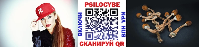 Галлюциногенные грибы прущие грибы  Малоярославец 
