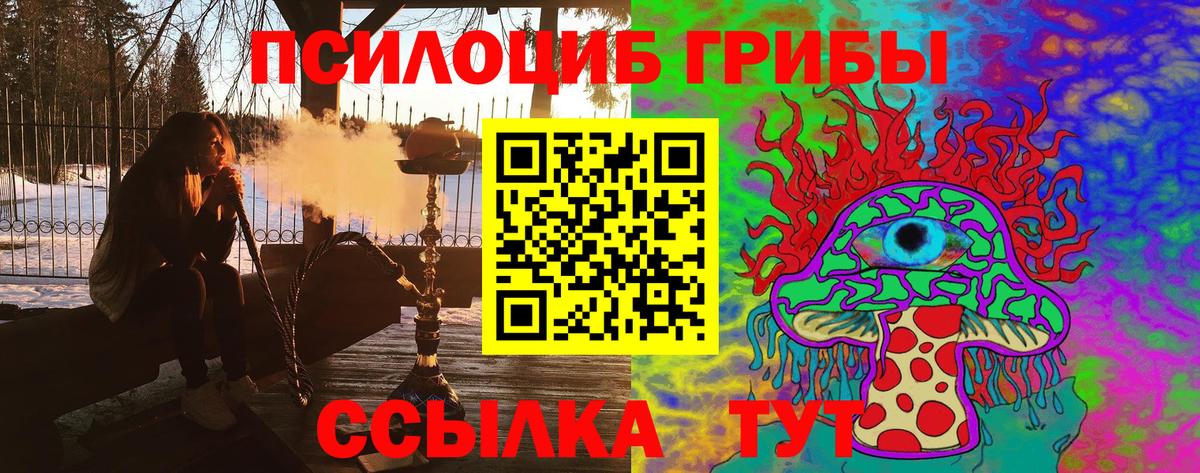 Малоярославец  Псилоцибиновые грибы ЛСД  Вход с VPN 
