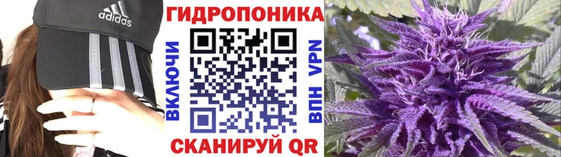Бошки Шишки планчик  Малоярославец 